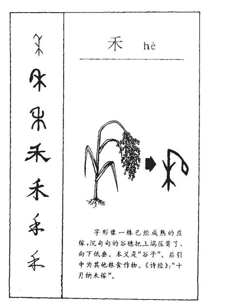 禾名字意思|禾字取名的寓意 禾跟哪个字搭配好听